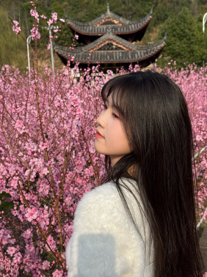 的分布式架构实现方案